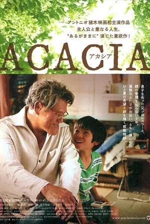 Постер: Acacia