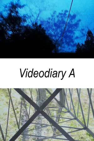 Постер: Videodiary A