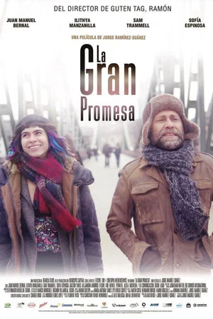 Постер: The Big Promise