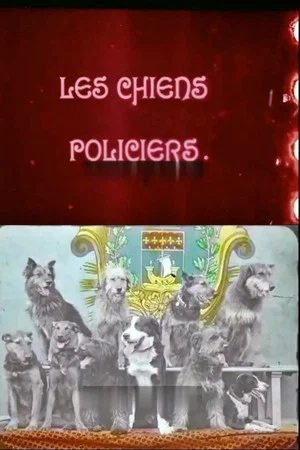 Постер: Police Dogs