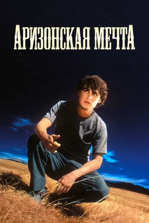 Постер: Аризонская мечта