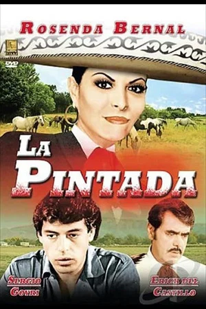 Постер: La pintada