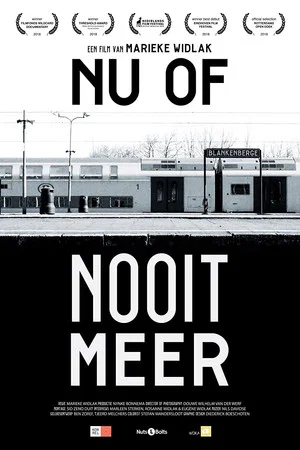 Постер: Now or Never Again