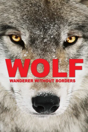Постер: Wolf: Wanderer Without Borders