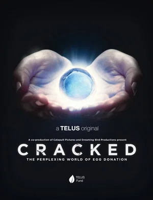 Постер: Cracked: The Perplexing World of Egg Donation
