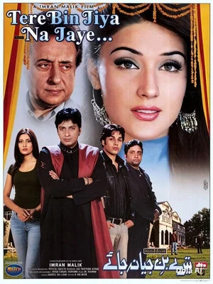 Постер: Tere Bin Jiya Na Jaye