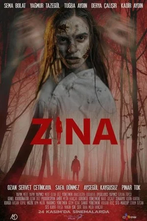 Постер: Zina