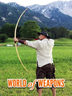 Постер: World of Weapons