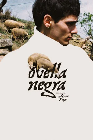 Постер: Black Sheep
