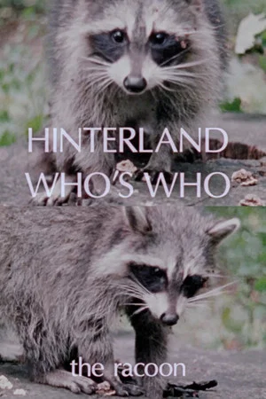 Постер: Hinterland Who's Who: The Raccoon