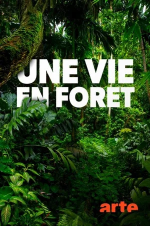 Постер: Une vie en forêt