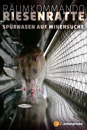 Постер: Räumkommando Riesenratte - Spürnasen auf Minensuche