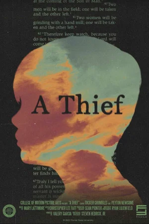 Постер: A Thief