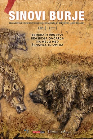 Постер: Sons of Bora