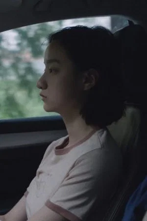 Постер: A Passing Cloud