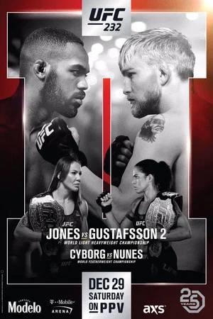 Постер: UFC 232: Jones vs. Gustafsson 2