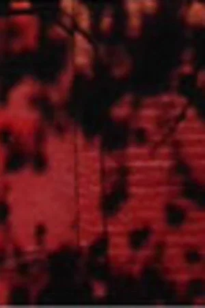 Постер: Schatten auf roter Wand
