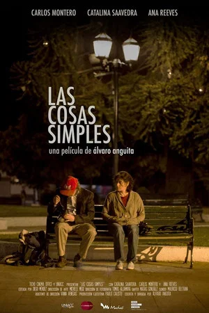 Постер: The Simple Things