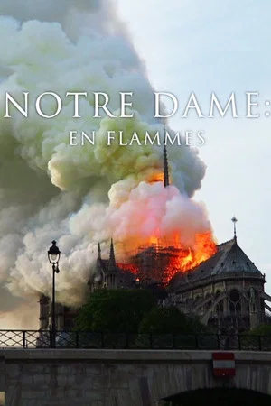 Постер: Pompiers de Paris : Sauver Notre-Dame