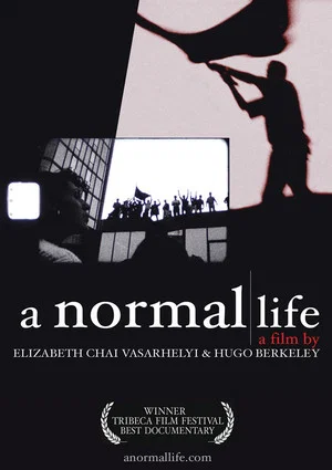 Постер: A Normal Life