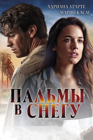 Постер: Пальмы в снегу