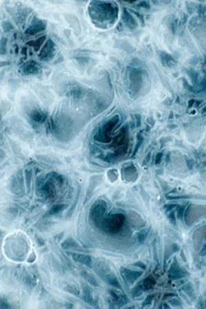 Постер: Liquid Landscape