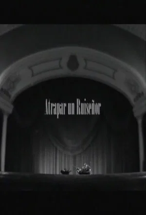 Постер: Atrapar un ruiseñor