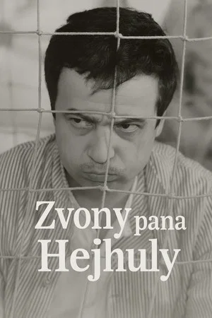 Постер: Zvony pana Hejhuly