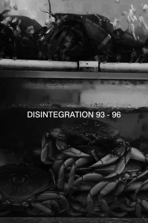 Постер: Disintegration 93-96