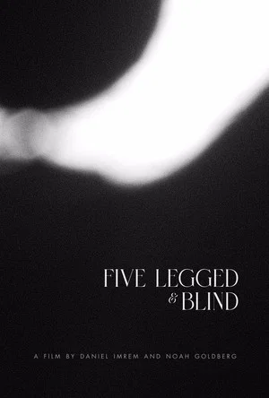 Постер: Five Legged & Blind