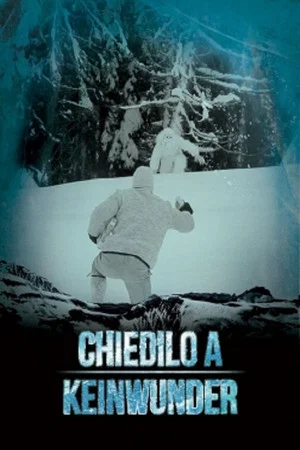 Постер: Chiedilo a Keinwunder