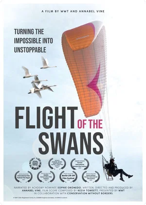 Постер: Flight of the Swans