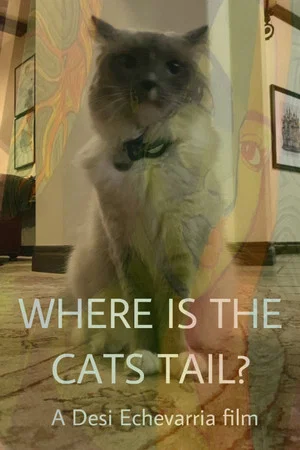 Постер: Where Is The Cat's Tail?