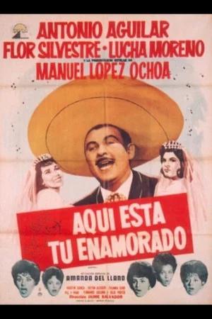 Постер: Aquí está tu enamorado
