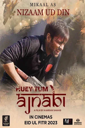 Постер: Huey Tum Ajnabi