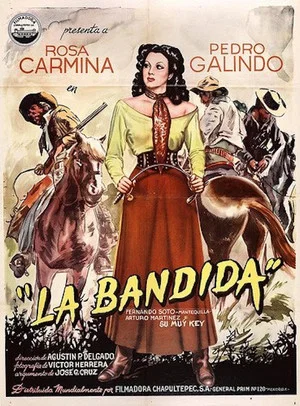 Постер: La bandida