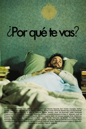 Постер: Why are you leaving?