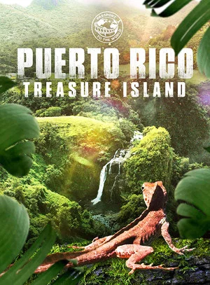 Постер: Puerto Rico: Treasure Island