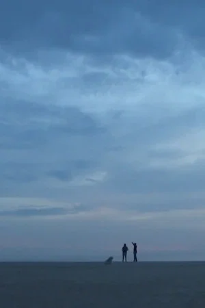 Постер: Beach House
