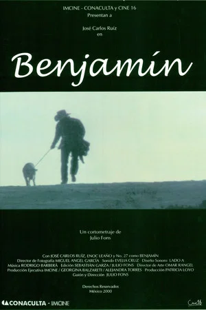 Постер: Benjamín