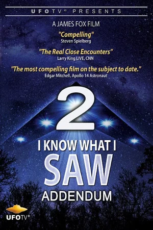 Постер: I Know What I Saw Part 2 Addendum