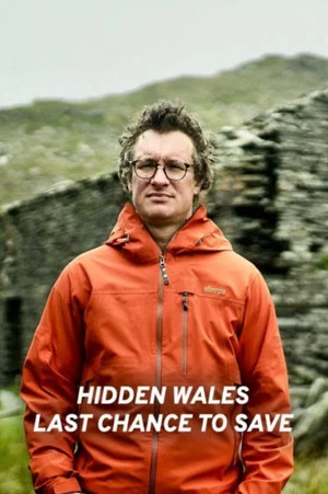 Постер: Hidden Wales: Last Chance to Save