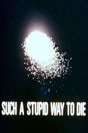 Постер: Such a Stupid Way to Die