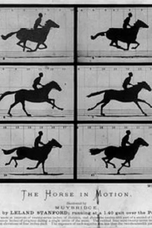 Постер: Sallie Gardner at a Gallop