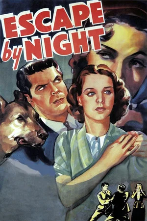 Постер: Escape by Night