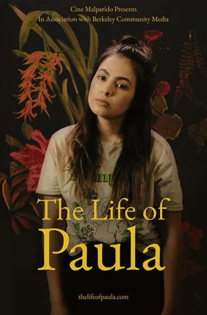 Постер: The Life of Paula