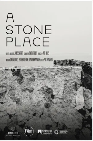 Постер: A Stone Place
