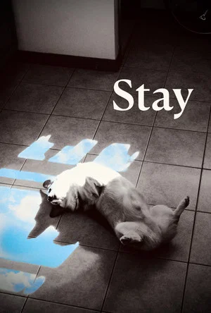 Постер: Stay