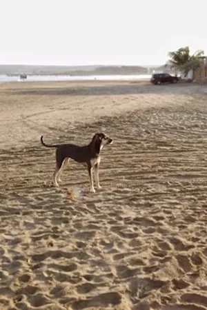 Постер: By the Sea