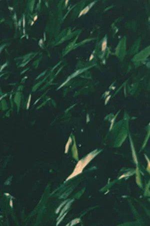 Постер: yesterday and yesterday